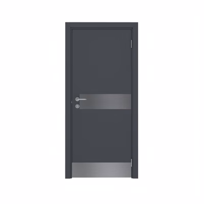 Дверь Dionysus  одностворчатая RAL 7024 с отбойными пластинами на уровне ног и рук